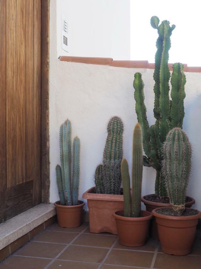 Casa Alejandro Las Vistas أرونا المظهر الخارجي الصورة